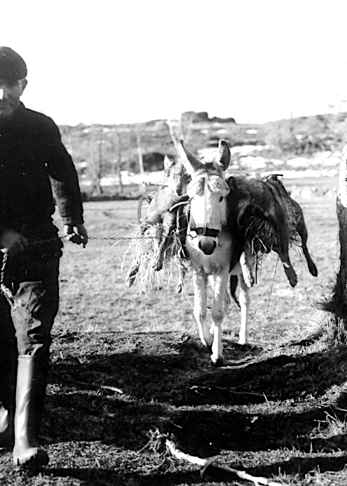 La memoria pre–histórica que yace olvidada