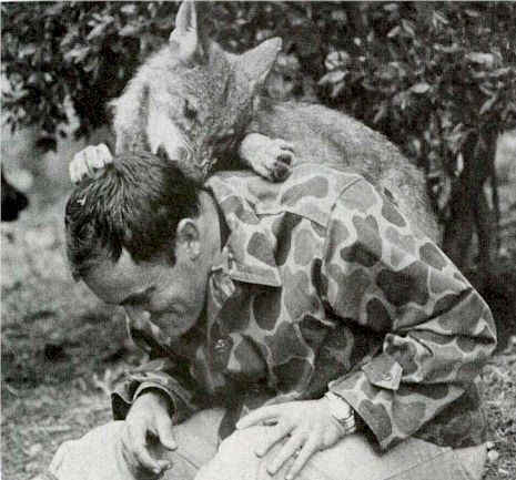 El pacto de los humanos paleolíticos con el lobo