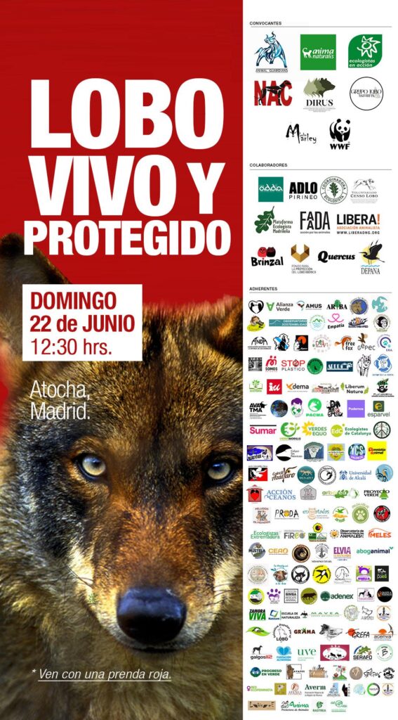 https://www.felixrodriguezdelafuente.club/es/wp-content/uploads/2025/06/Marcha-por-el-lobo-en-Madrid-22-jun-2025.jpeg